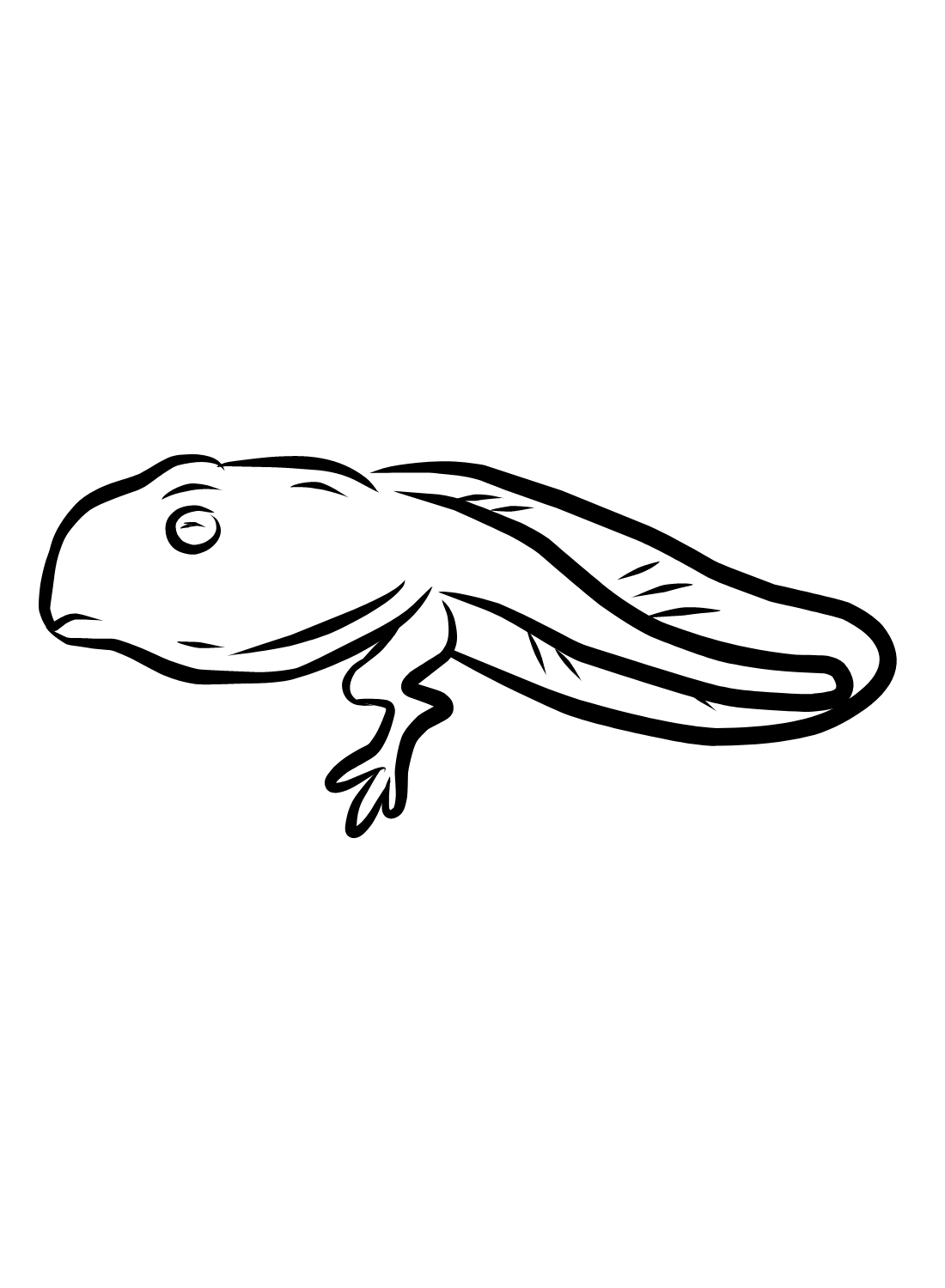 Tadpole coloring pages printable for free download