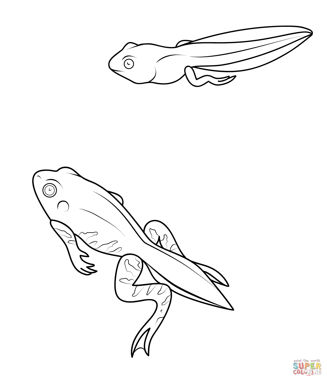 Tadpole and froglet coloring page free printable coloring pages