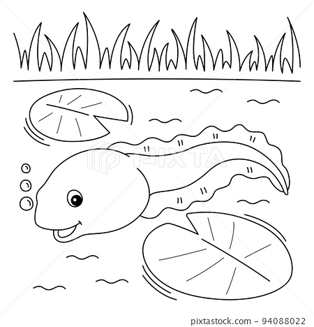 Tadpole animal coloring page for kids