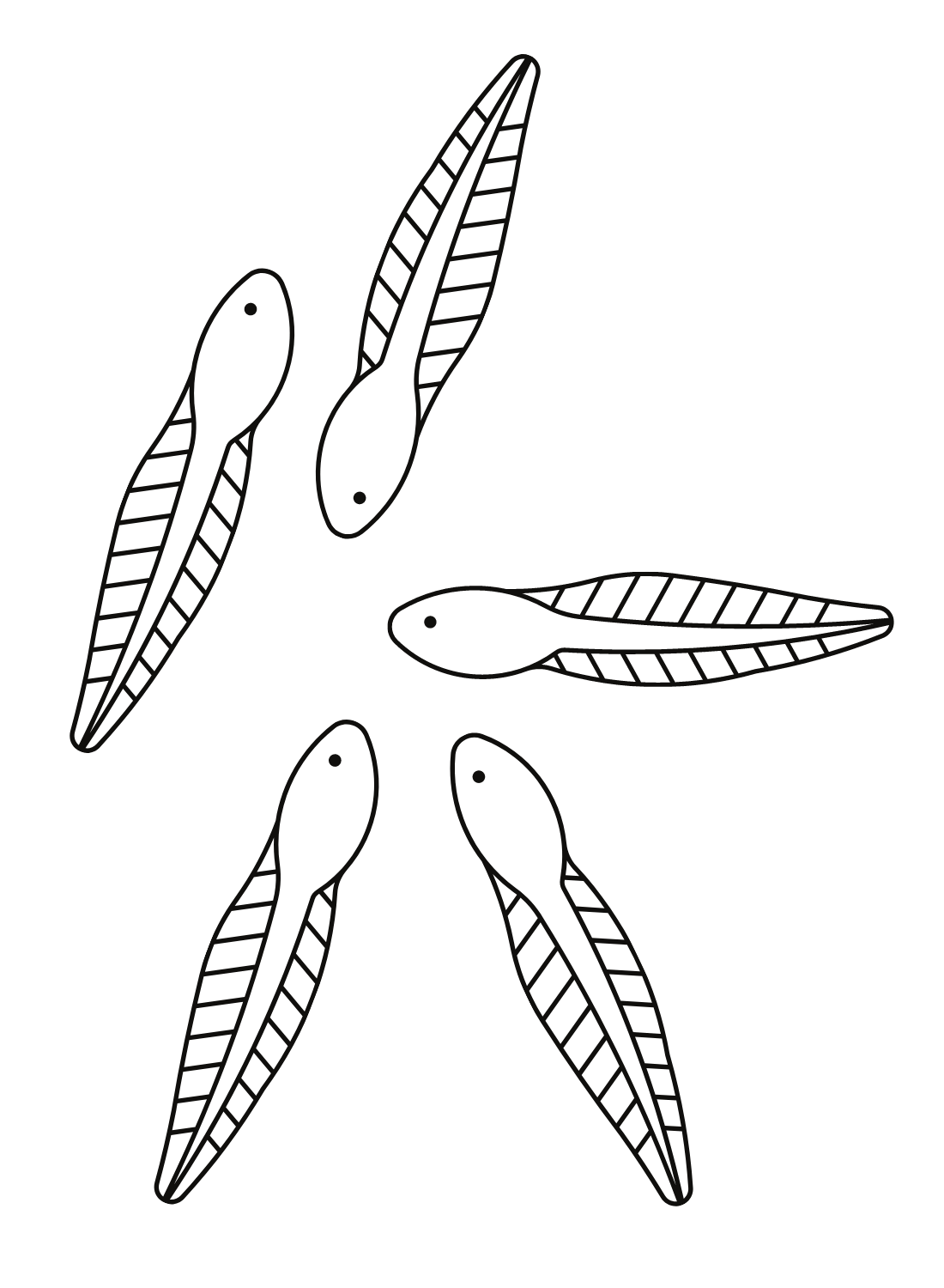 Tadpole coloring pages printable for free download