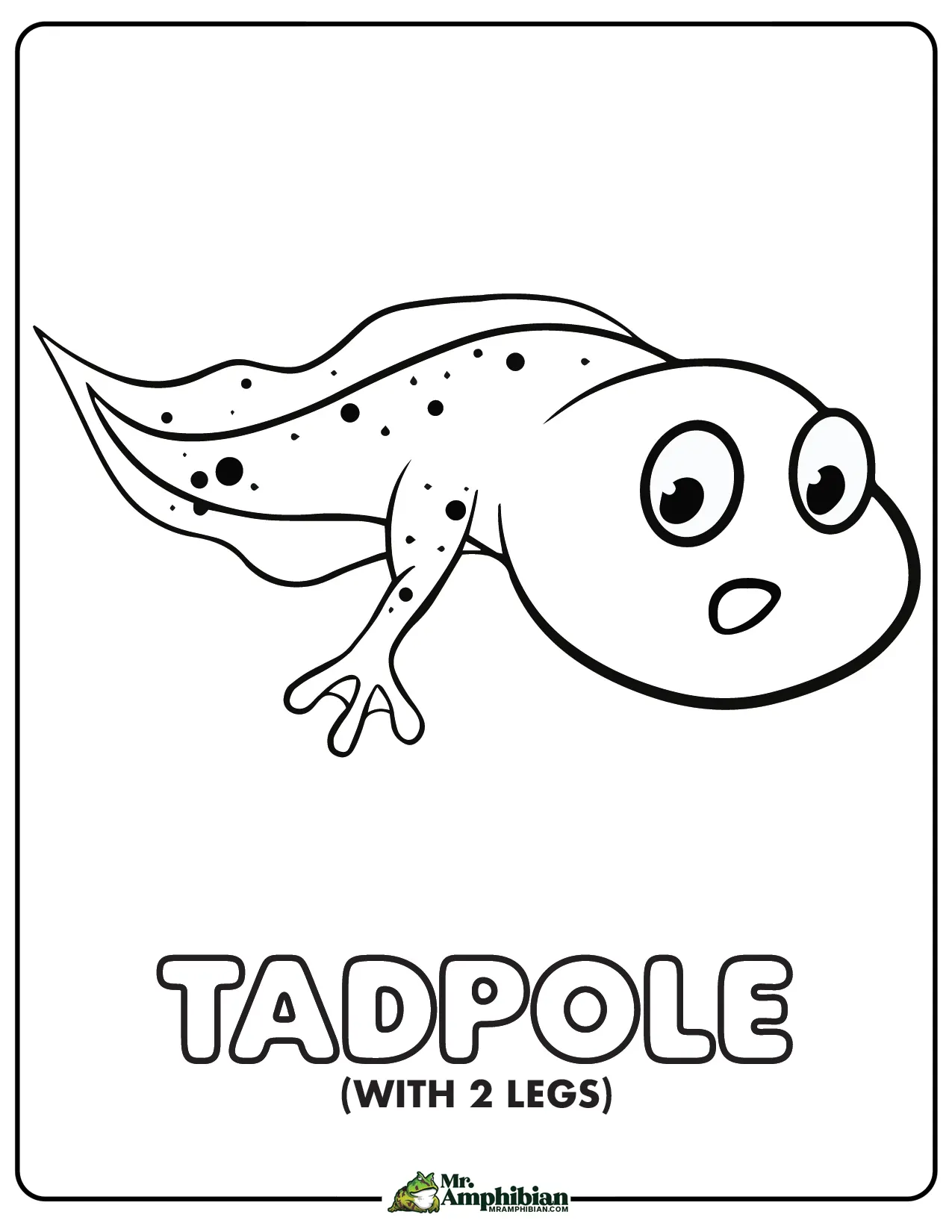 Frog coloring pages printable