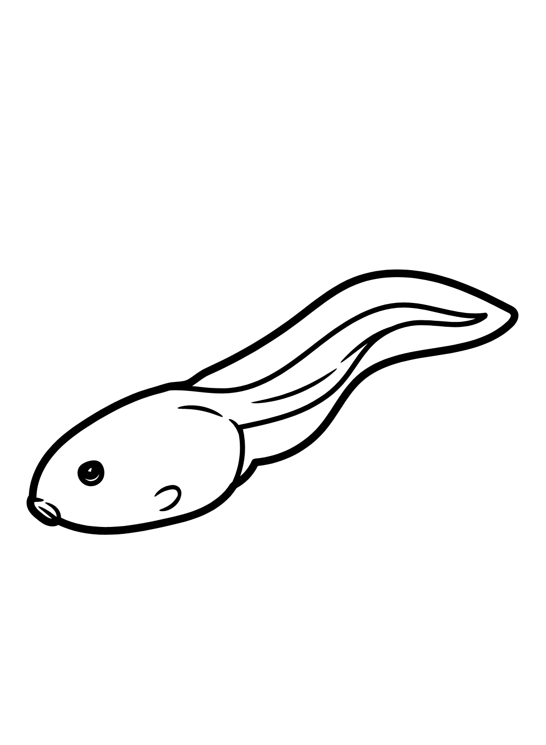 Tadpole coloring pages printable for free download