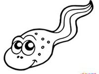 Tadpole coloring pages ideas coloring pages unique words coloring pages for kids