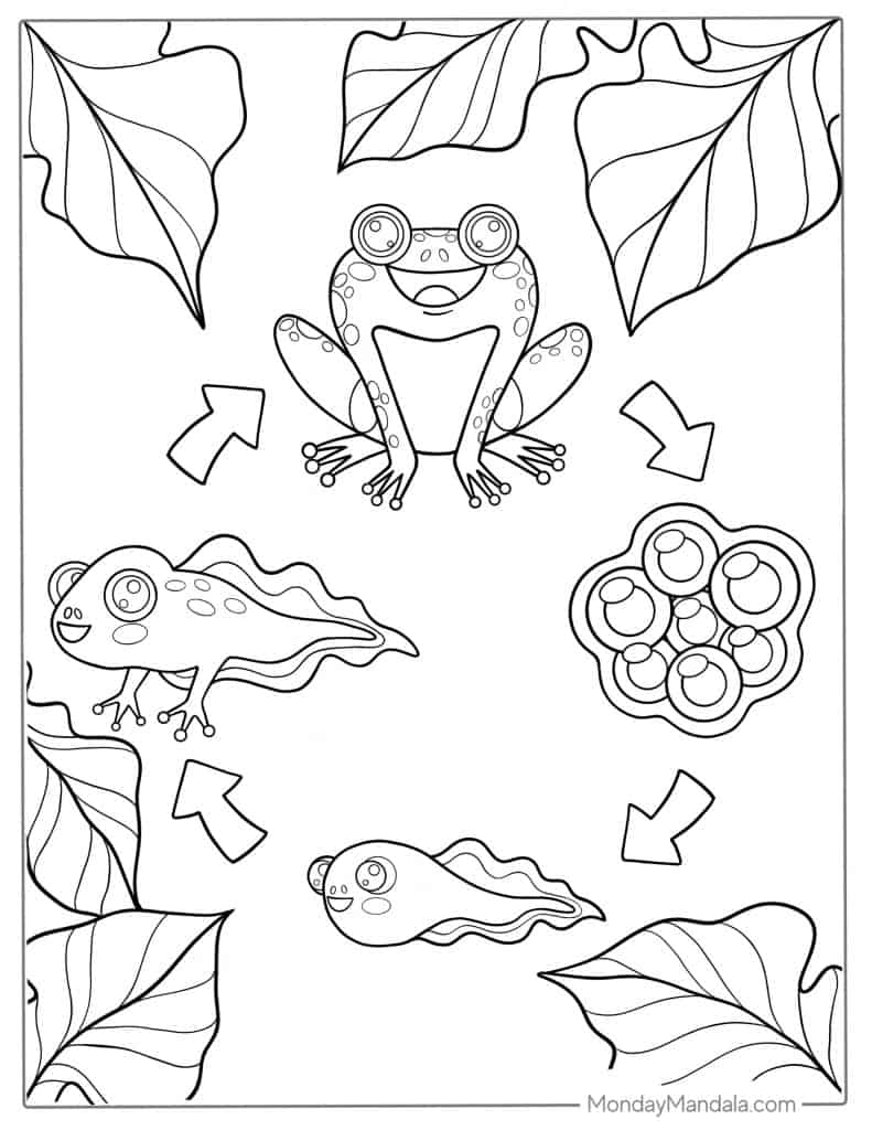 Frog coloring pages free pdf printables