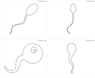 Free printable tadpole coloring pages for kids â