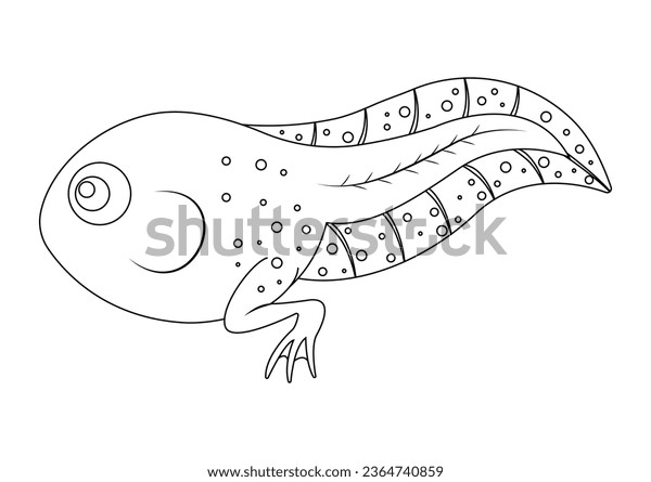 Coloring page tadpole cartoon character vector stock vector royalty free