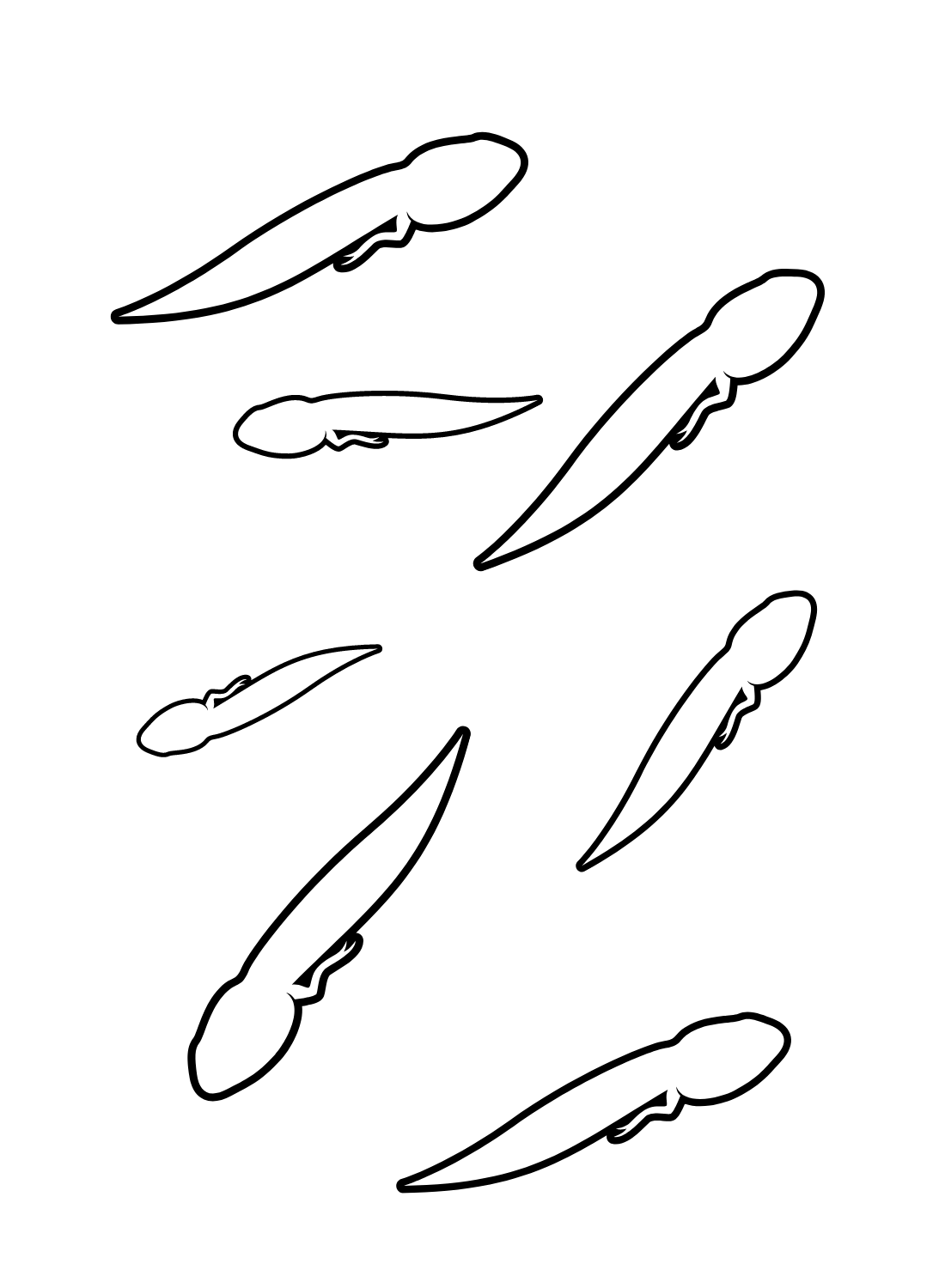 Tadpole coloring pages printable for free download