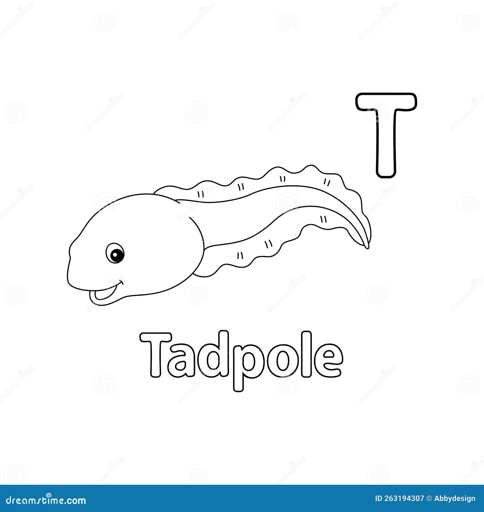 Tadpole animal alphabet abc isolated coloring t stock vector