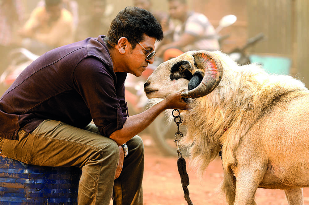 India sheep rural farm hi-res stock photography and images - Alamy