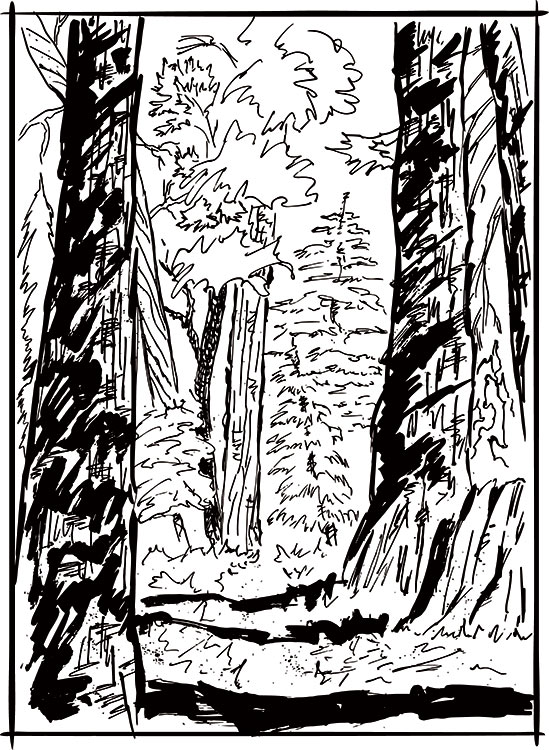 Color the tahoe rim trail â jared manninen