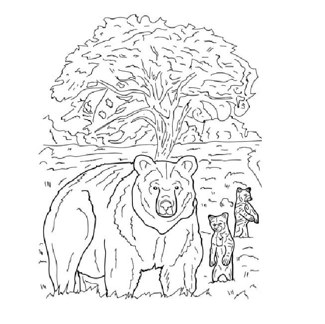 Nevada coloring pages