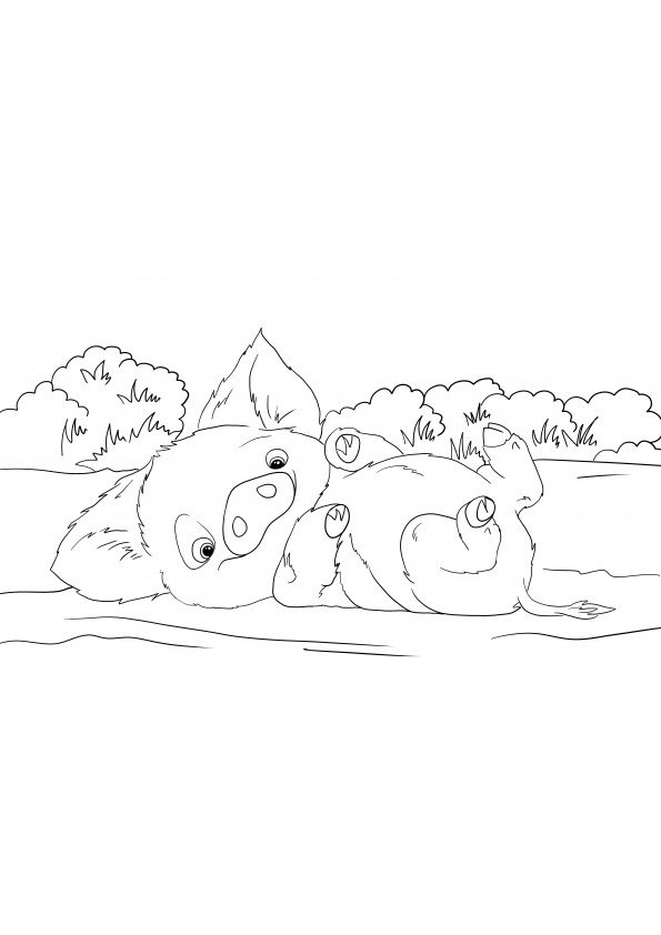 Moana coloring pages