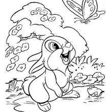 Thumper coloring pages