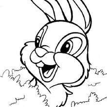 Thumper coloring pages