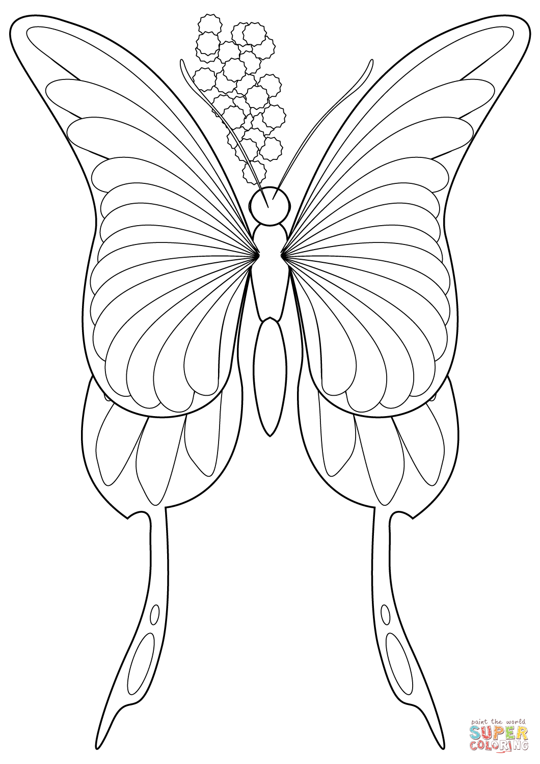 Butterfly coloring page free printable coloring pages