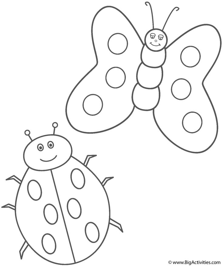 Coloring page ladybug coloring page bug coloring pages butterfly coloring page