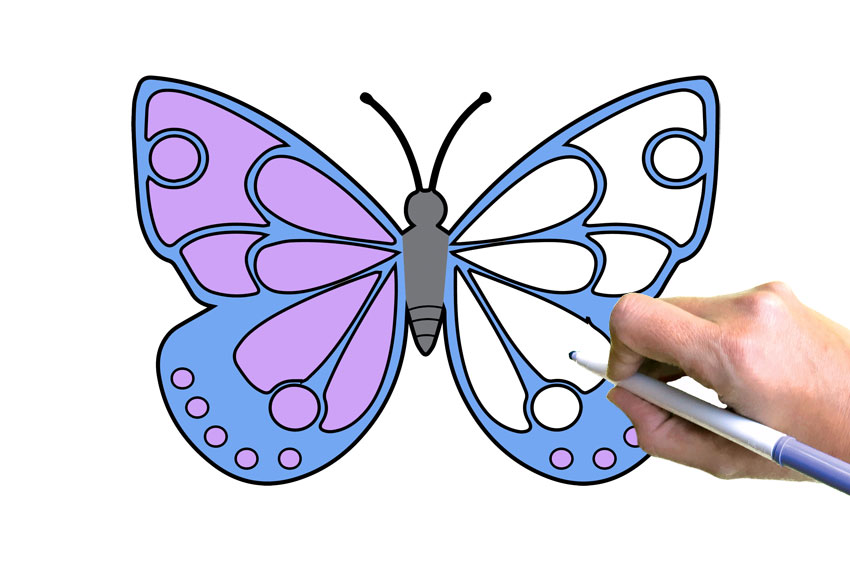 Butterfly coloring pages free printable butterflies