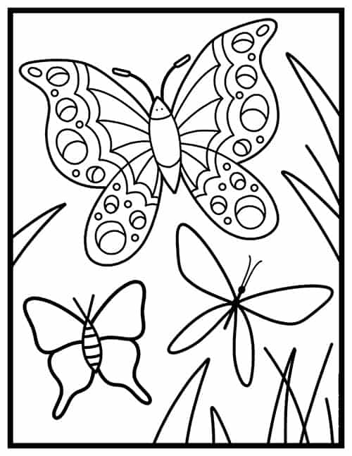 Butterfly coloring pages