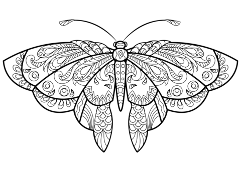 Zentangle butterfly coloring page free printable coloring pages