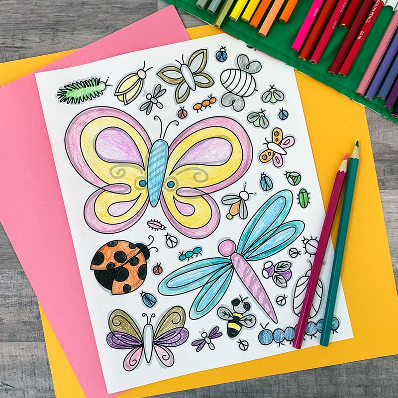 Printable bugs coloring steam activity sheet