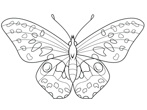 Butterfly coloring page free printable coloring pages