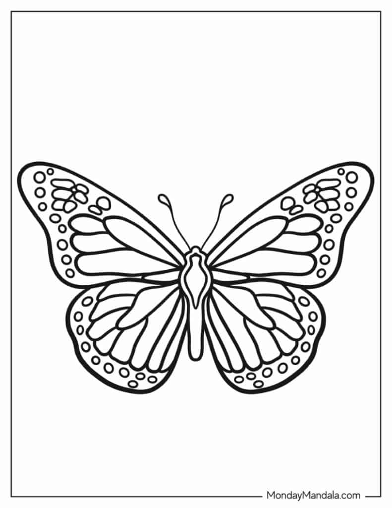 Butterfly coloring pages free pdf printables