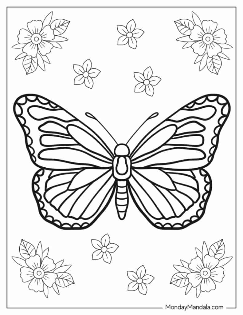 Butterfly coloring pages free pdf printables