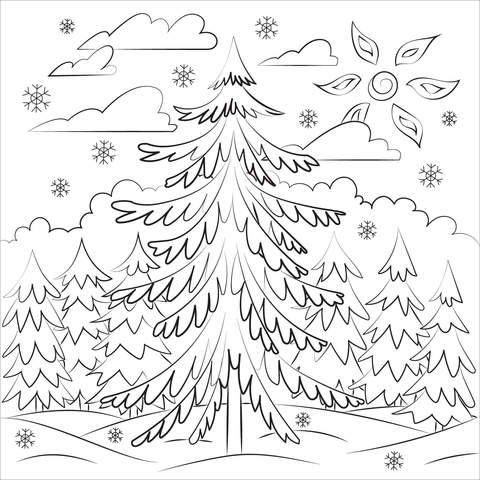 Pine tree coloring page free printable coloring pages