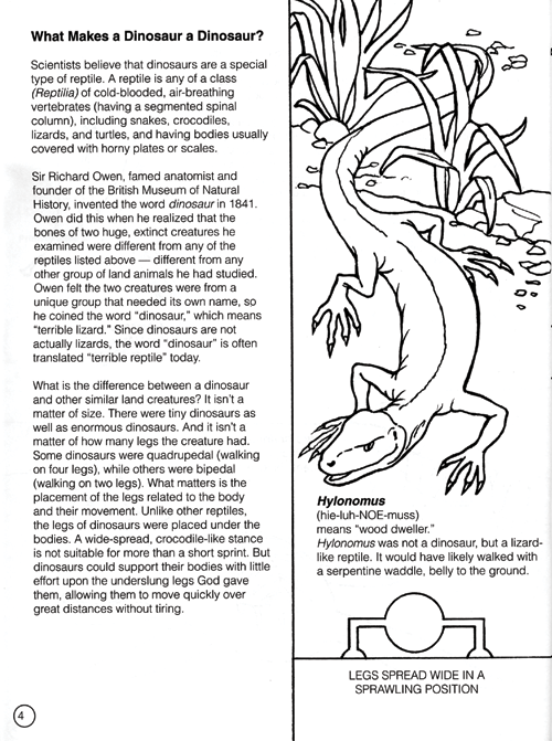 The wonders of gods world dinosaur activity book creation today