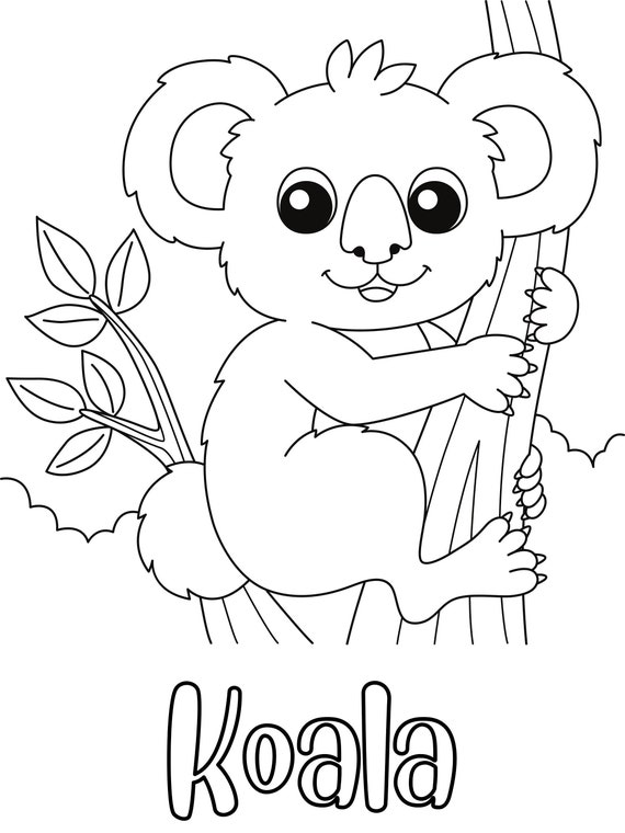 Koala coloring page digital download printable