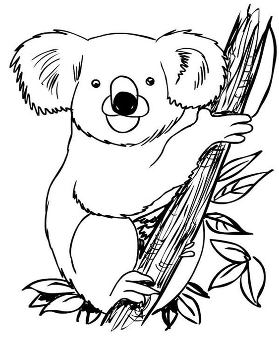 Free easy to print koala coloring pages