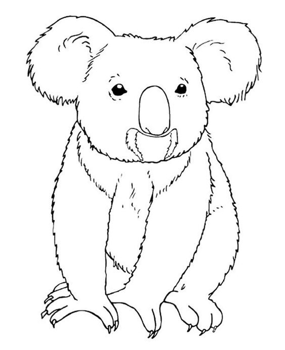 Free easy to print koala coloring pages