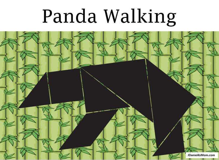 Panda stem tangram puzzle set