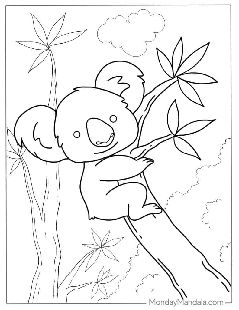 Koala coloring pages free pdf printables