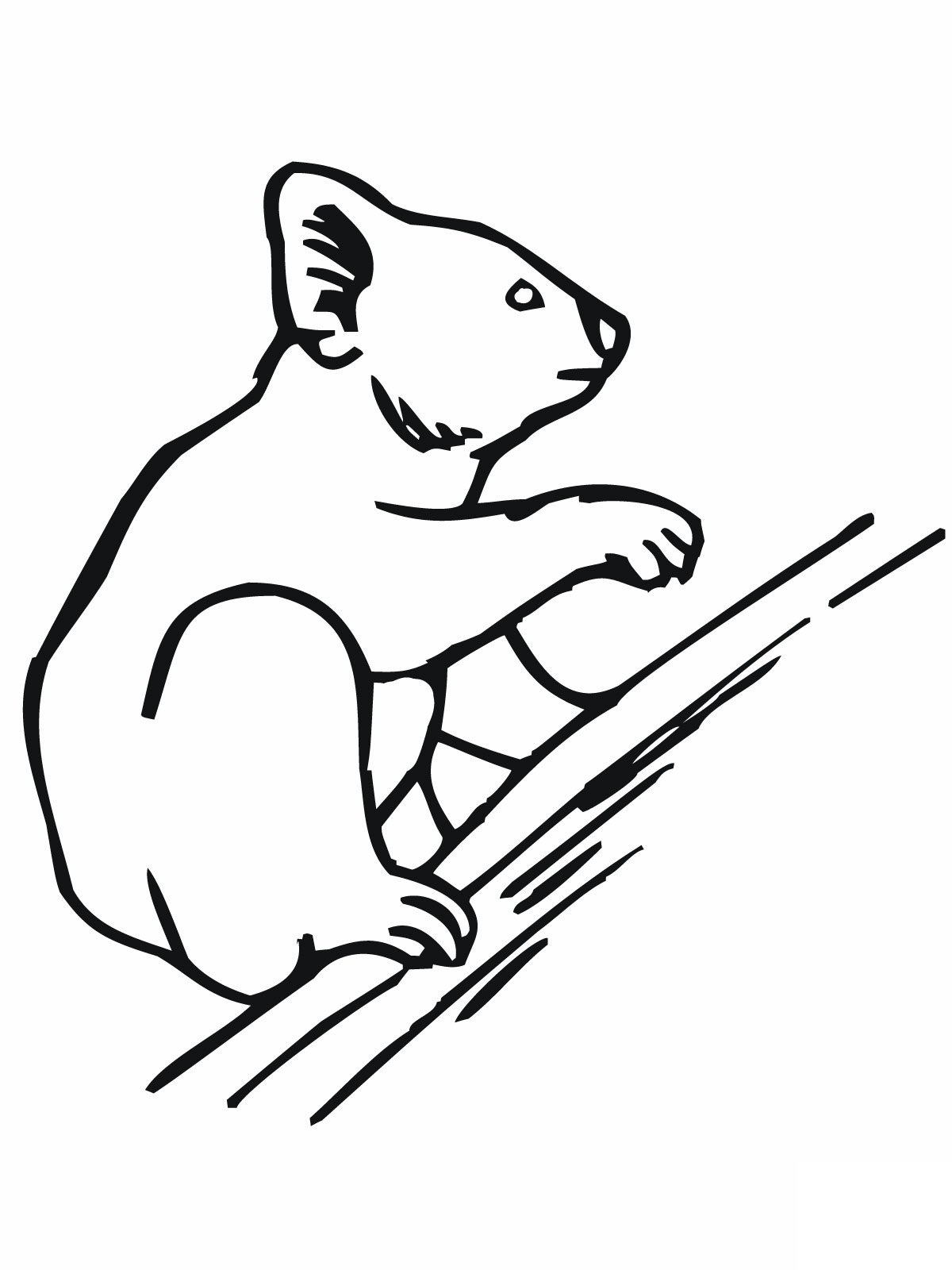 Free printable koala coloring pages for kids