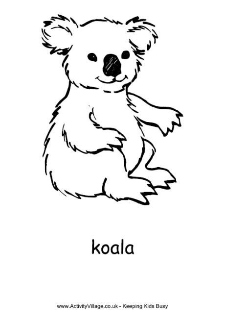 Koala louring page zoo animal loring pages bear loring pages animal loring pages