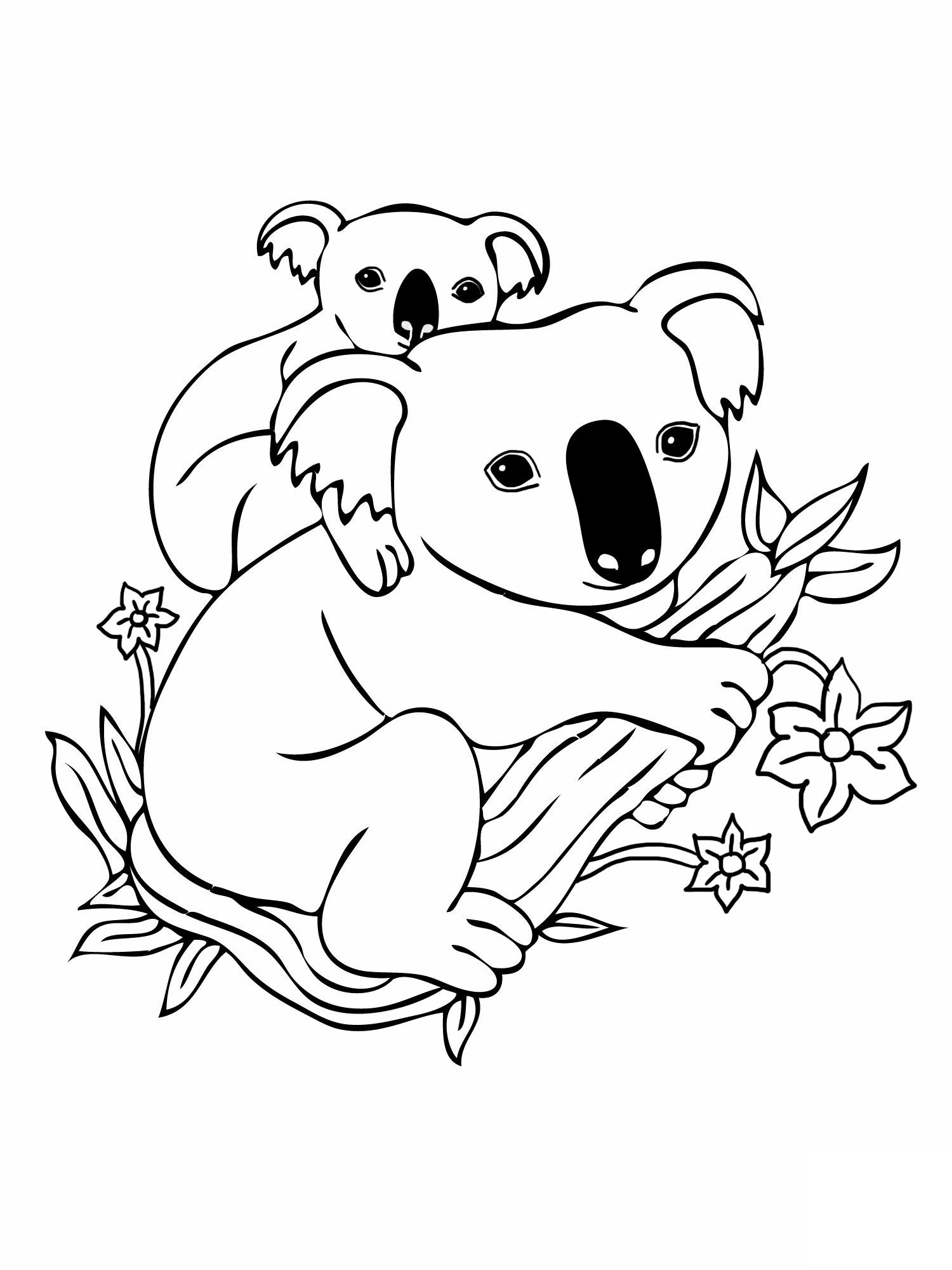 Free printable koala coloring pages for kids bear coloring pages cute coloring pages animal coloring pages