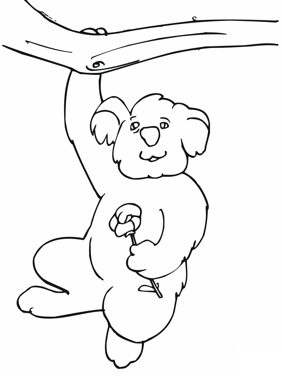 Free printable koala coloring pages for kids