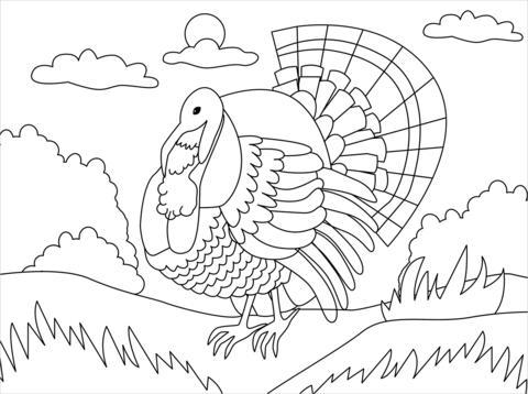 Turkey coloring page free printable coloring pages