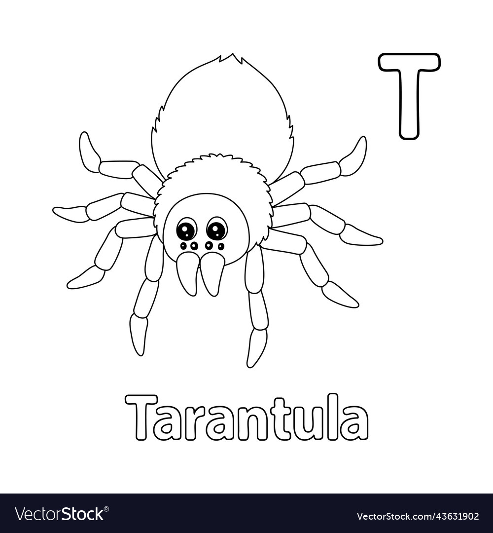 Tarantula alphabet abc coloring page t royalty free vector