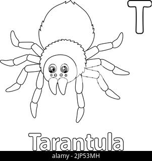 Tarantula animal coloring page illustration stock vector image art