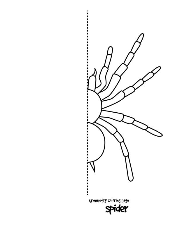 Tarantula spider symmetry coloring page color luna