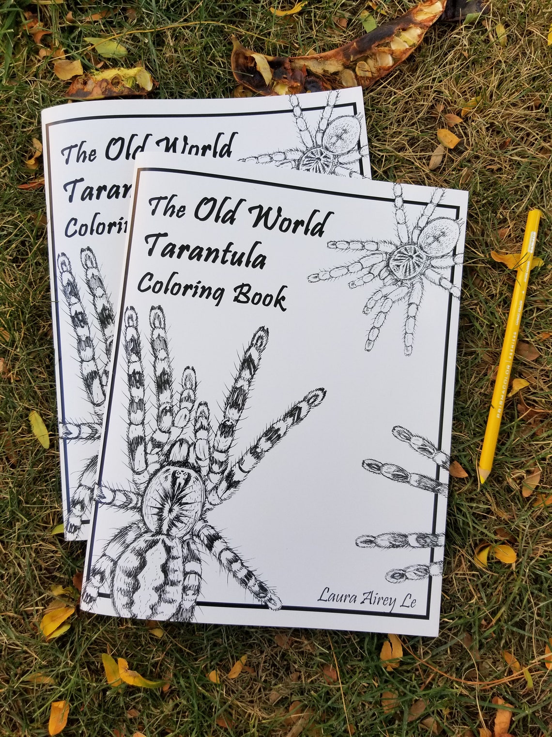Buggy book review âthe old world tarantula coloring bookâ by laura airey le â dave the bug guy