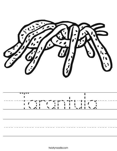 Tarantula worksheet