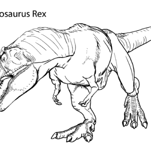 Tyrannosaurus coloring pages printable for free download