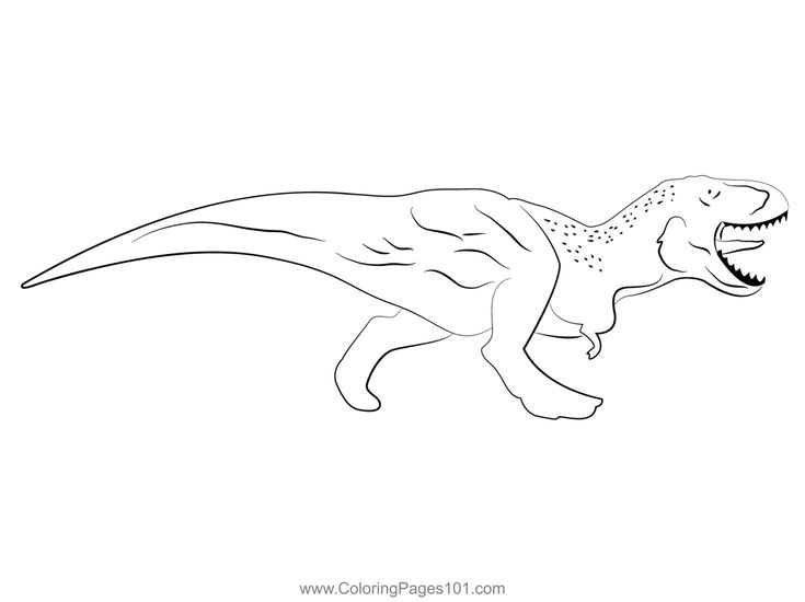 Tyrannosaurus coloring page dinosaur coloring pages coloring pages dinosaur printables