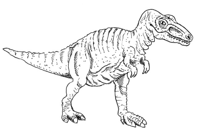 Is the asian tarbosaurus really a tyrannosaurus rex