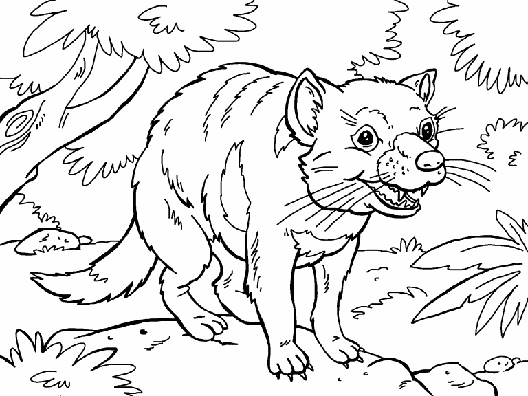 Free coloring page jan tasmanian devil