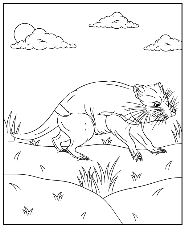 Australian tasmanian devil coloring page