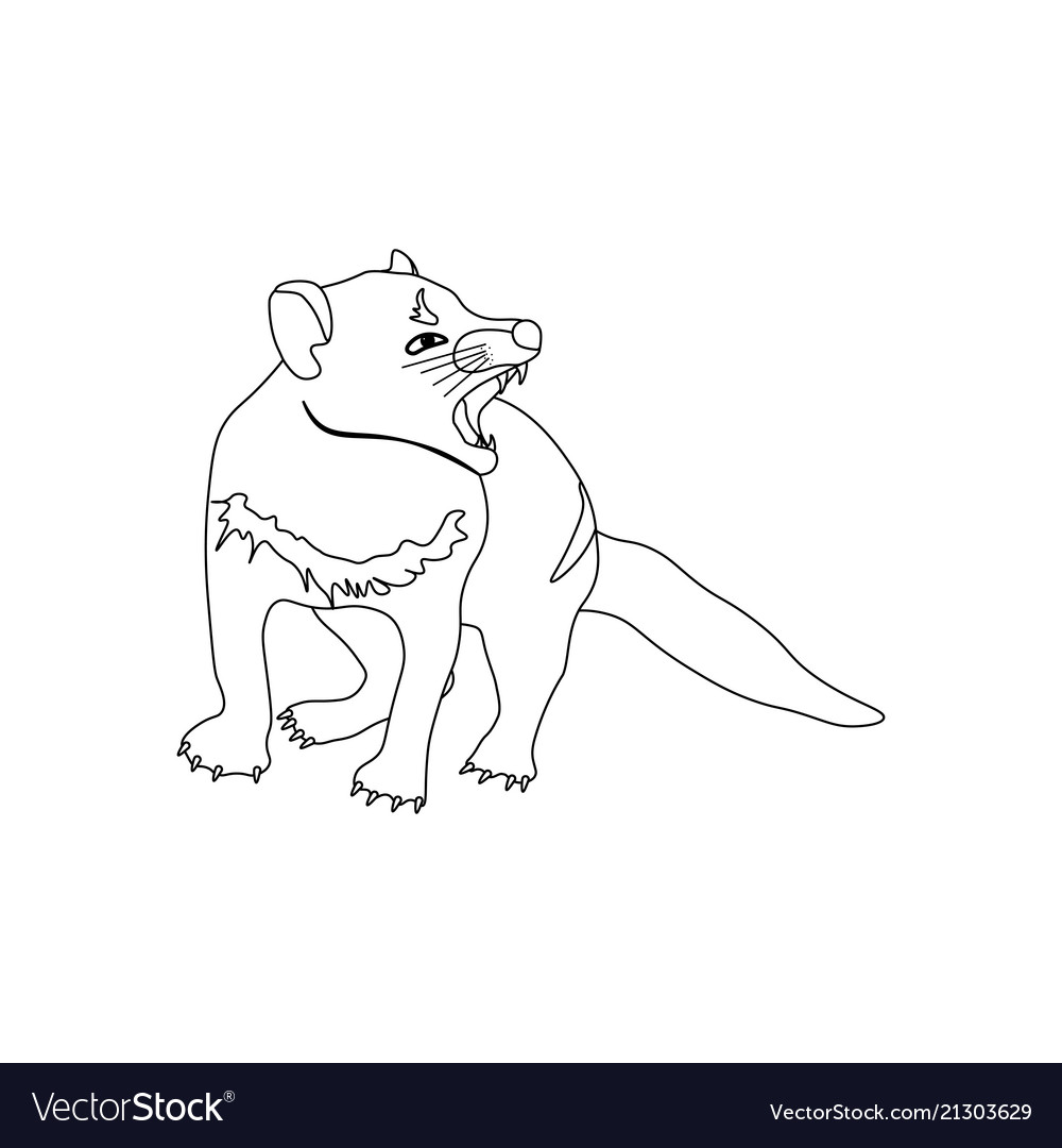 Tasmanian devil coloring pages royalty free vector image